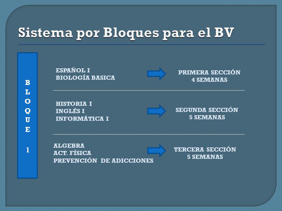 ESPAÑOL I BIOLOGÍA BASICA PRIMERA SECCIÓN 4 SEMANAS HISTORIA I INGLÉS I INFORMÁTICA I SEGUNDA SECCIÓN 5 SEMANAS ALGEBRA ACT.