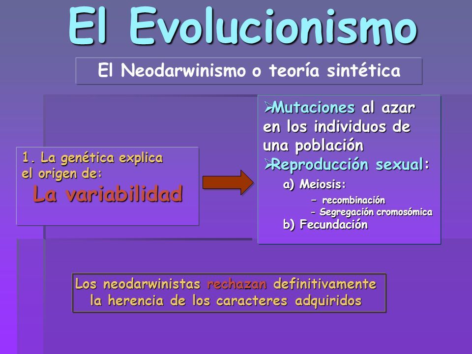 LA EVOLUCIÓN Departamento De Biología IES Universidad Laboral De Málaga ...