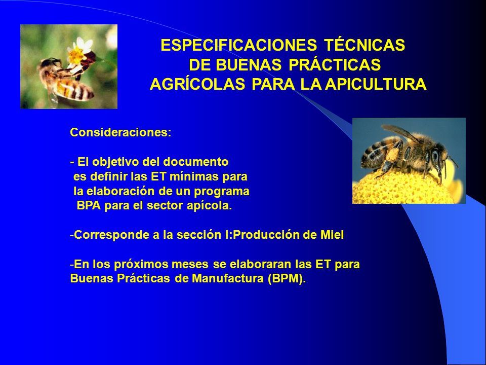 Buenas Practicas Agrícolas En Chile Ministerio De Agricultura Ii Simposium Apícola Internacional 1151