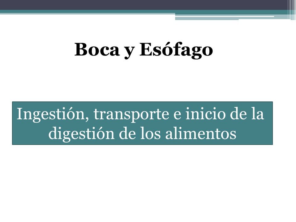 Boca y Esófago Ingestión, transporte e inicio de la digestión de los alimentos