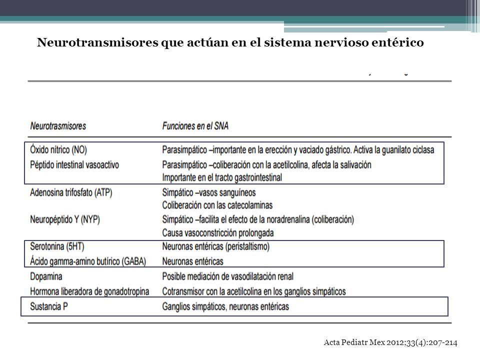 Acta Pediatr Mex 2012;33(4): Neurotransmisores que actúan en el sistema nervioso entérico