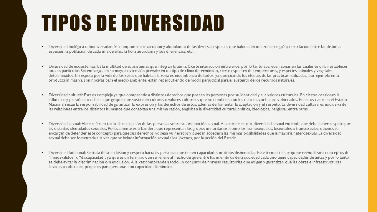 DIVERSIDAD POR JULIO Y CARLOS. ¿QUÉ ES DIVERSIDAD? La Diversidad ...