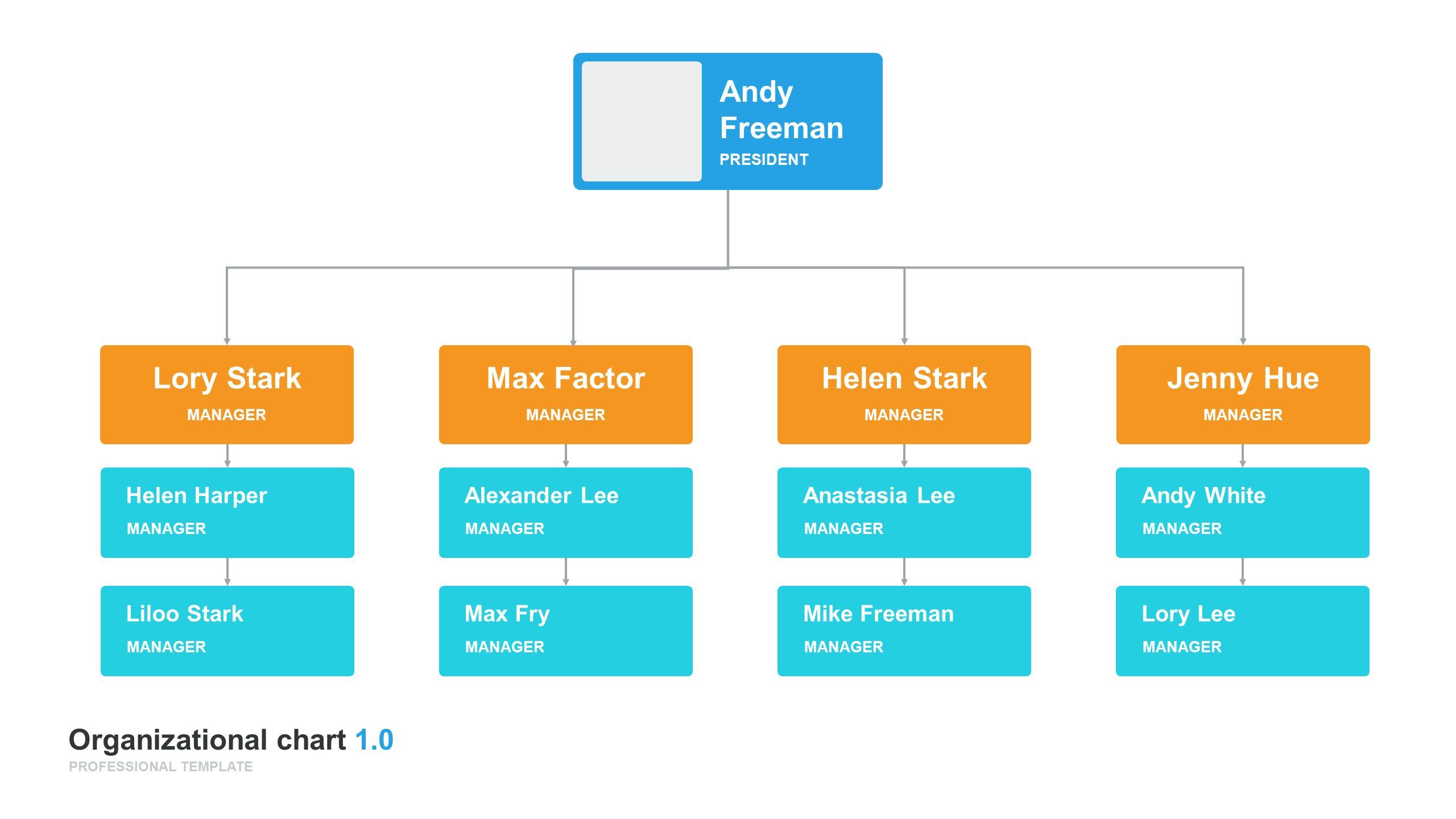 Organizational chart and Hierarchy Template 1.0 PROFESSIONAL TEMPLATE ...