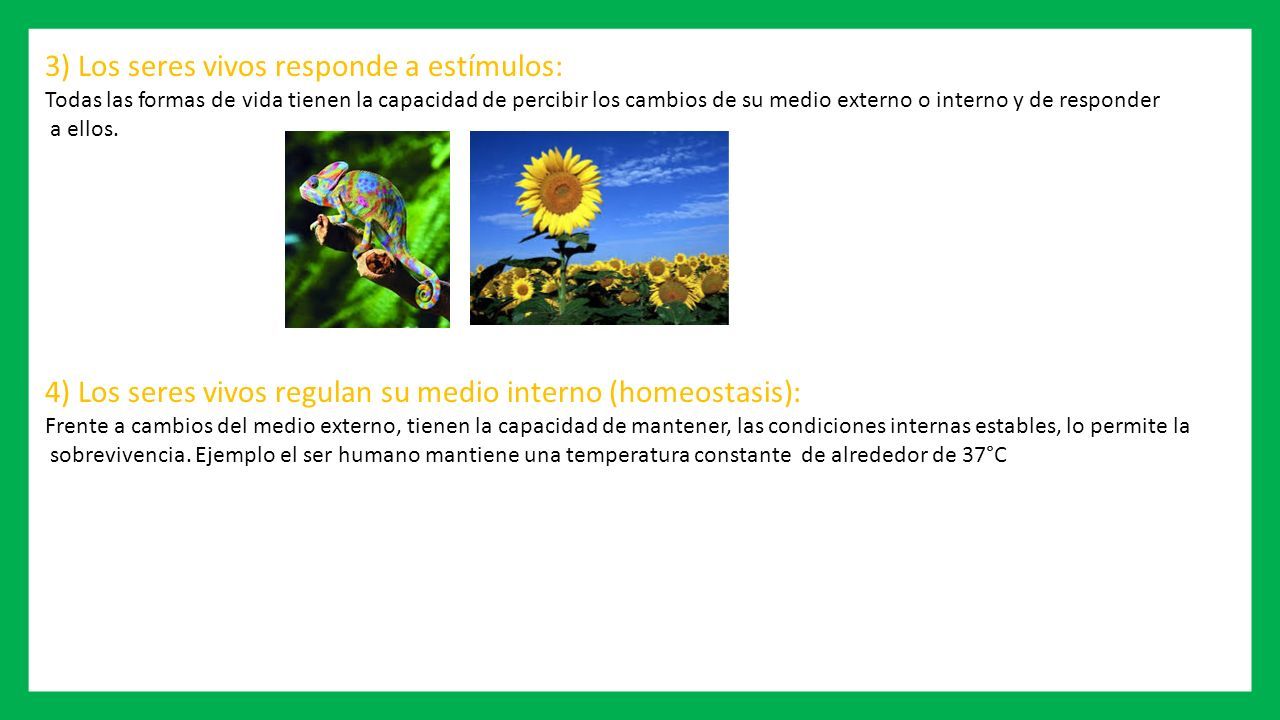 Introducción a la Biología Profesora Tania Patiño Arce - ppt descargar