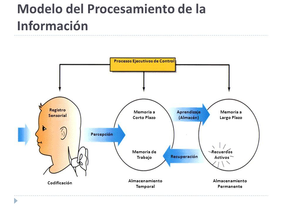 Modelo del Procesamiento de la Información. PROCESAMIENTO DE LA INFORMACIÓN  Teoría del aprendizaje, de perspectiva cognitiva, que surge del modelo de.  - ppt descargar