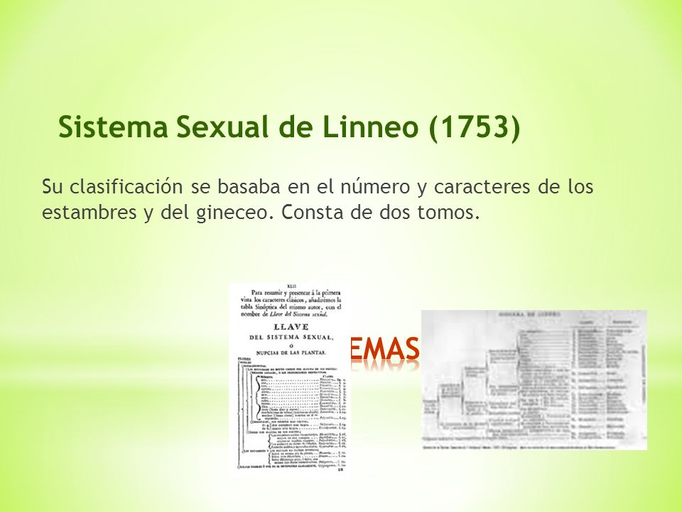 Botánica Sistemática Clasificaciones Botánicas Ppt Descargar 8157