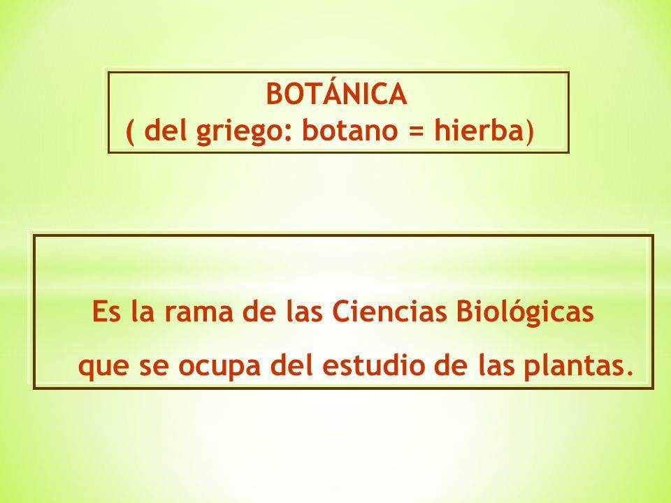 Botánica Sistemática Clasificaciones Botánicas Ppt Descargar 1661