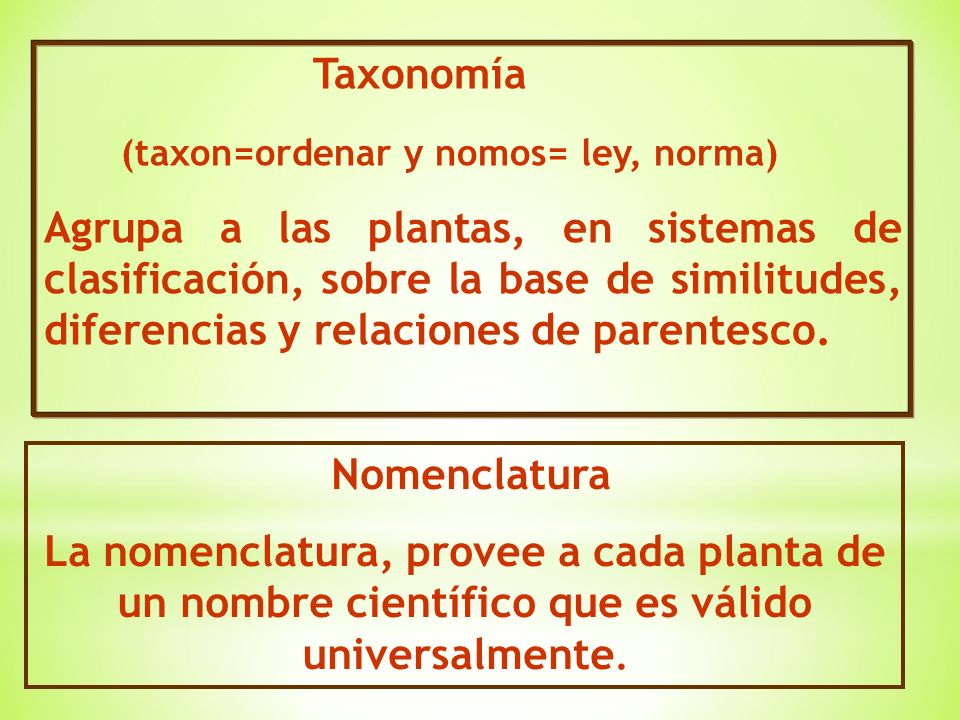 Botánica Sistemática Clasificaciones Botánicas Ppt Descargar 2355