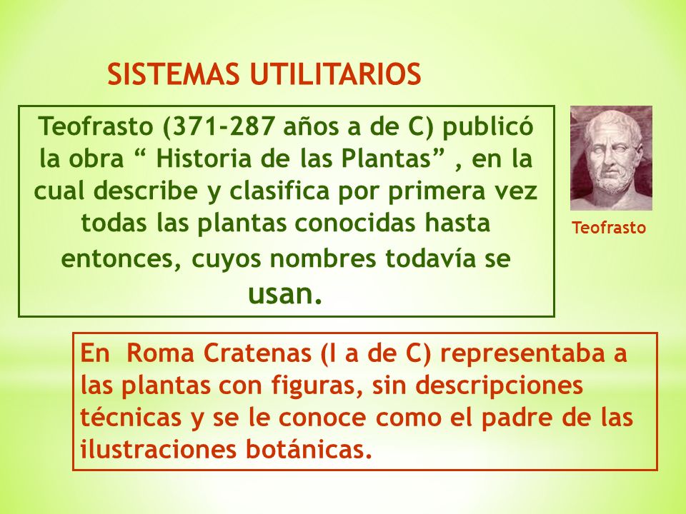 Botánica Sistemática Clasificaciones Botánicas Ppt Descargar 5210