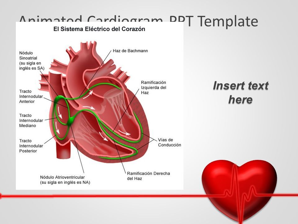 FisiopatologÍa Cardiovascular Programa De Enfermería Profundización