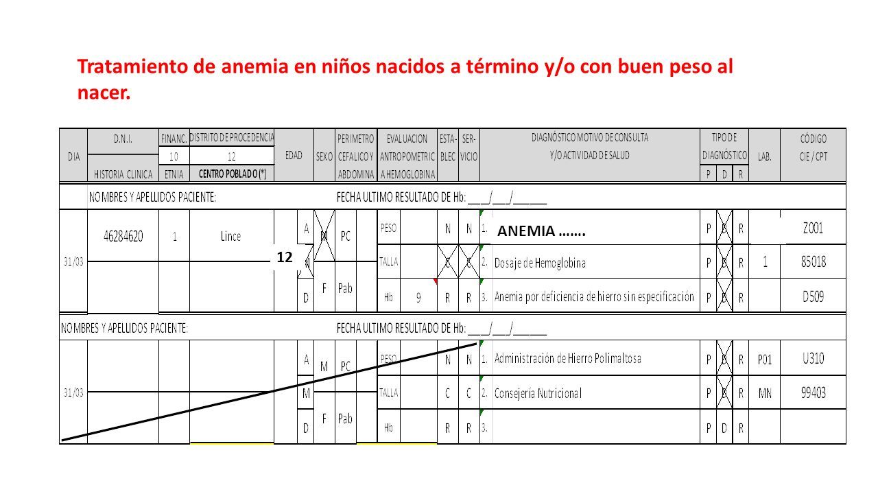 Plan Nacional De Reducción Y Control De La Anemia Y La Desnutrición Crónica Infantil En El Perú 6839