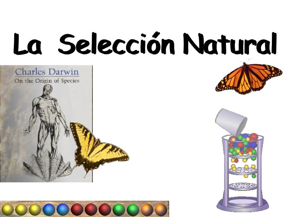 Actualizar Imagen Adaptacion Y Seleccion Natural De Charles Darwin