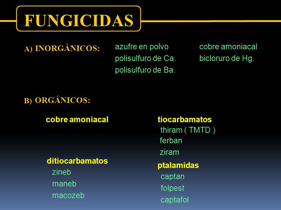 HISTORIA EVOLUCION CONTEXTO NACIONAL. CLASIFICACION En Función De Su ...