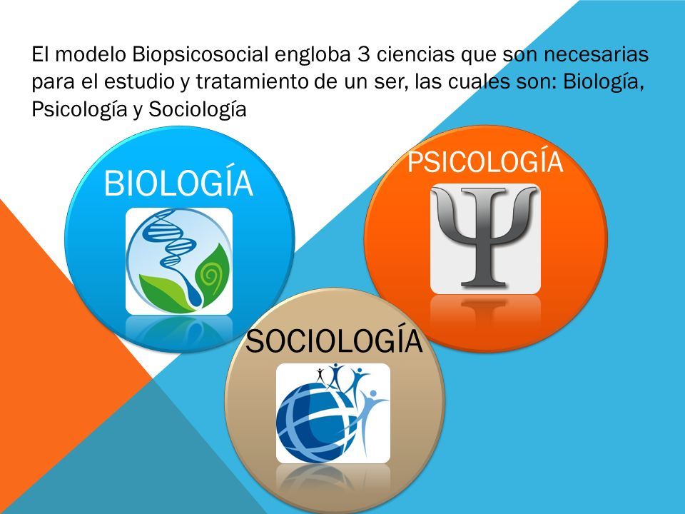 EL HOMBRE COMO SER BIOPSICOSOCIAL UNIVERSIDAD NACIONAL DE CAAGUAZ Ú -  FACULTAD CIENCIAS DE LA PRODUCCI Ó N Telefax: – - ppt descargar