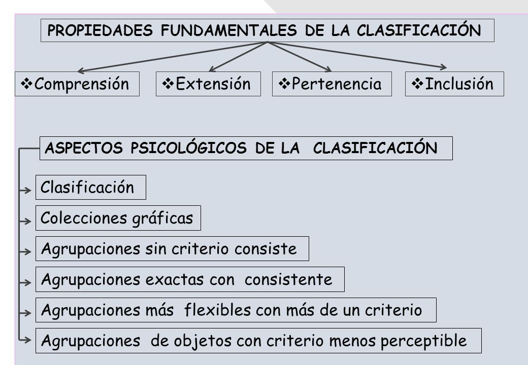 CLASIFICACIÓN POR FORMA, TAMAÑO Y COLOR Clasificar los objetos de diferentes maneras: